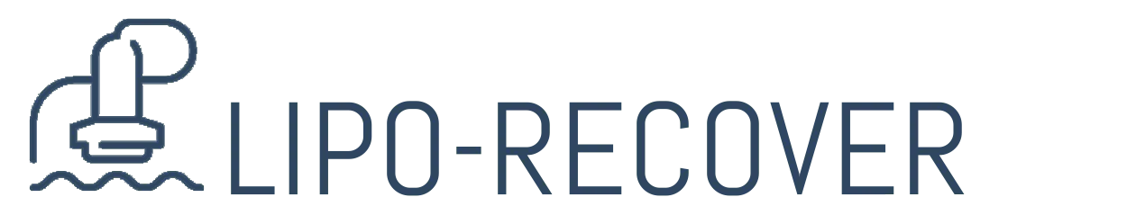 Lipo Recover menu